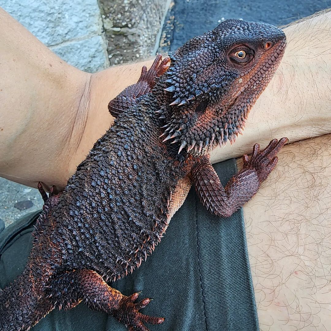 WhatsApp Image 2023-09-11 at 1.53.31 AM (1)