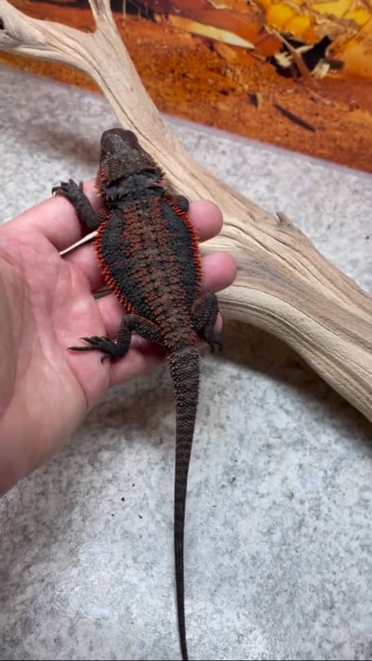 WhatsApp Image 2023-09-20 at 02.38.50