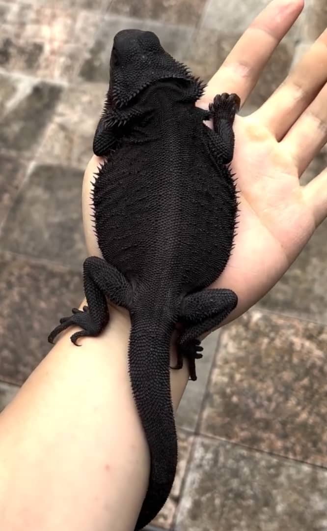 WhatsApp Image 2025-05-03 at 05.14.01_66362b39