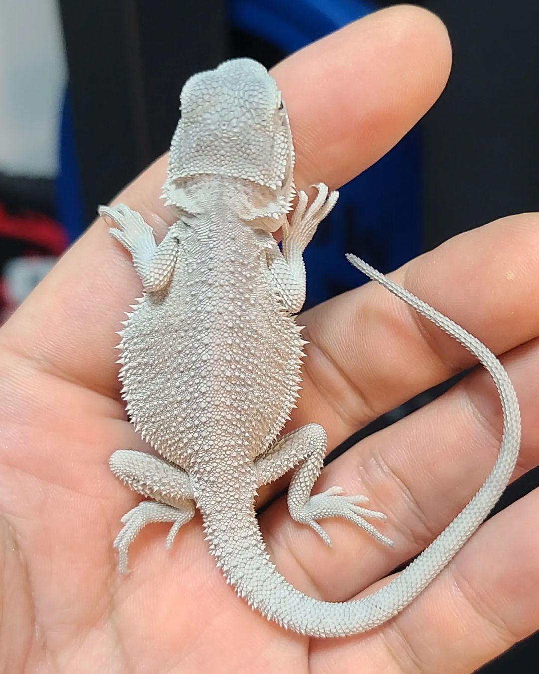 kevin.patterre_1694472514198