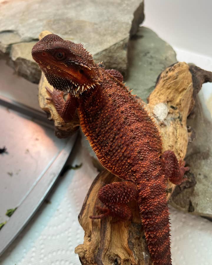 02a42445-5009-4450-819b-13268cffc970