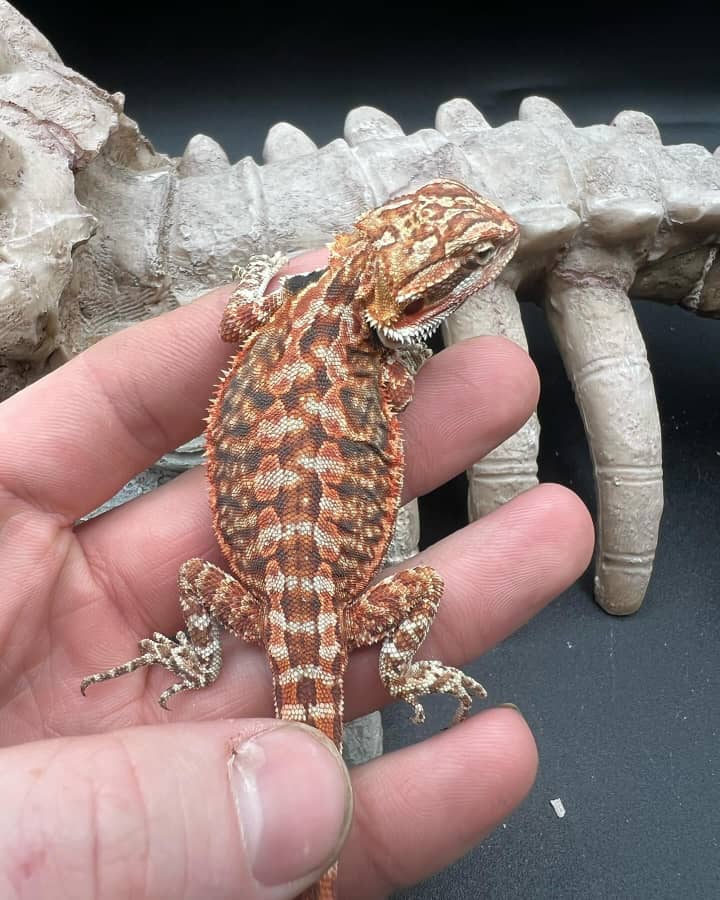 2886dbbb-e501-47a5-990b-4939139c9b2a