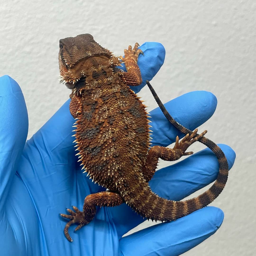 3de67247-fddb-4af4-a21a-1d958a9c8f20