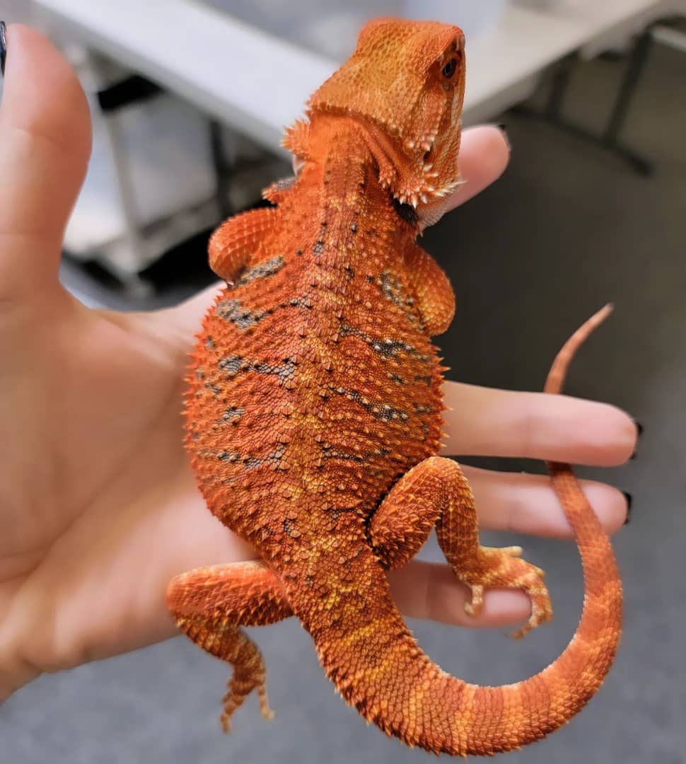 3ff7b498-9428-4497-a57a-8fd3e3ada0ff