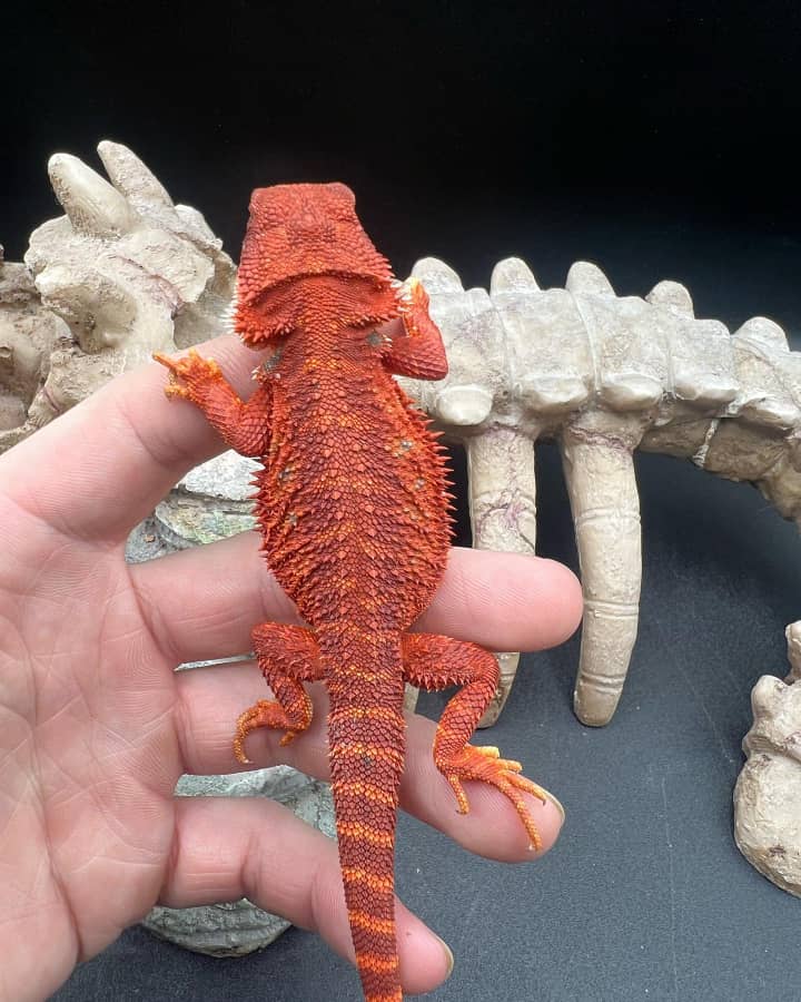 4de69434-a554-4053-8ed4-7d97299a0b22