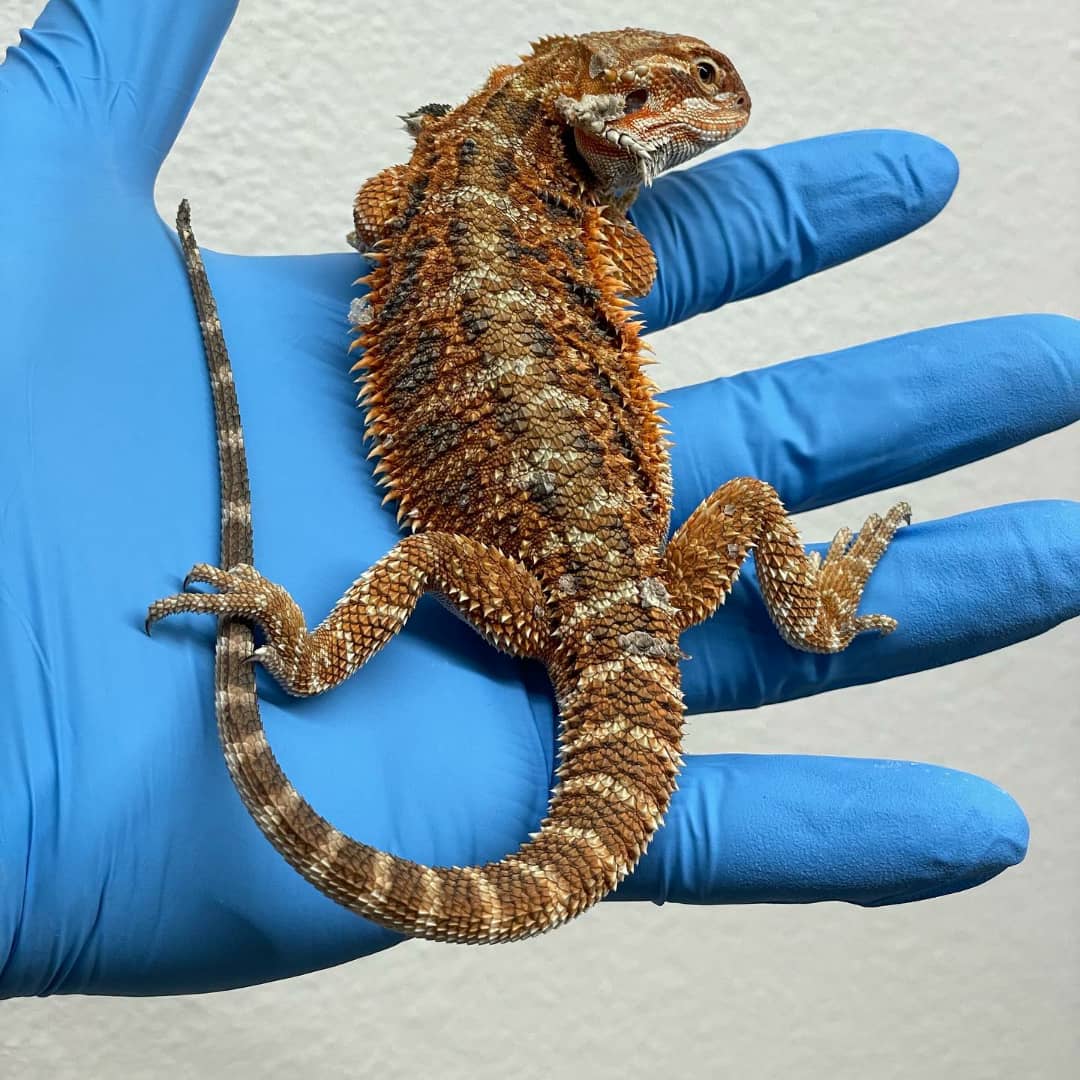 7056fa51-f09a-40b4-a51c-f80101da47c9