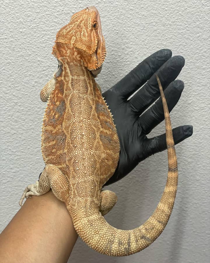 79e5bdbb-bb68-449a-83bd-e29386ce5d65