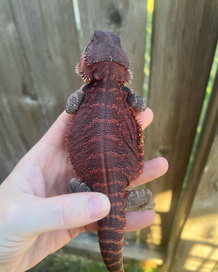 7f8df1bf-6e05-4d9f-8f5b-267c9461ba4e