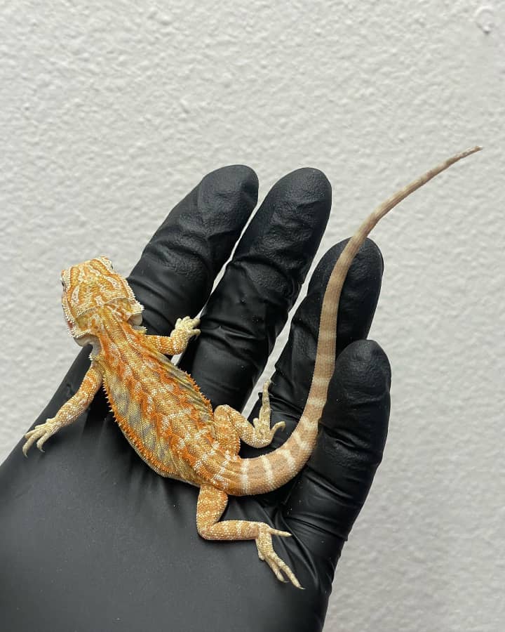 WhatsApp Image 2024-04-15 at 10.27.26 PM