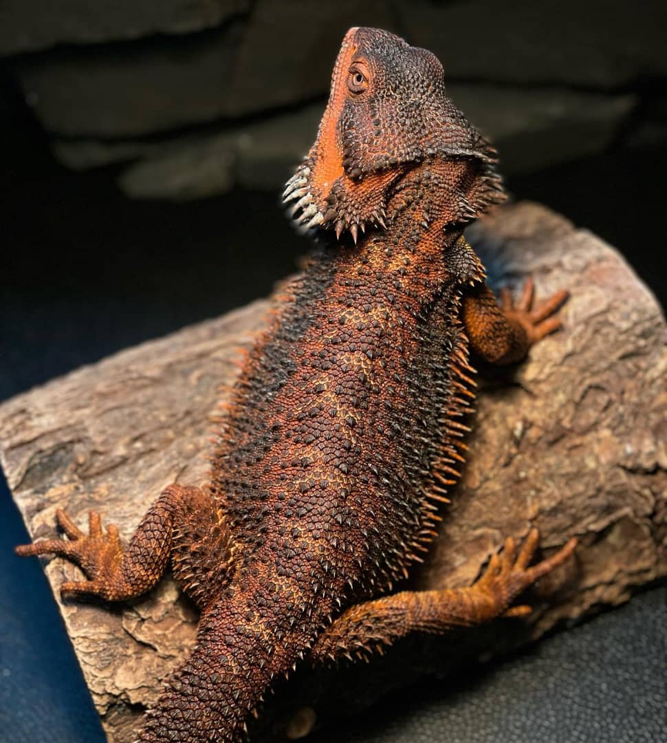 b4057d6d-7a29-4f56-9aac-3e76858451ba