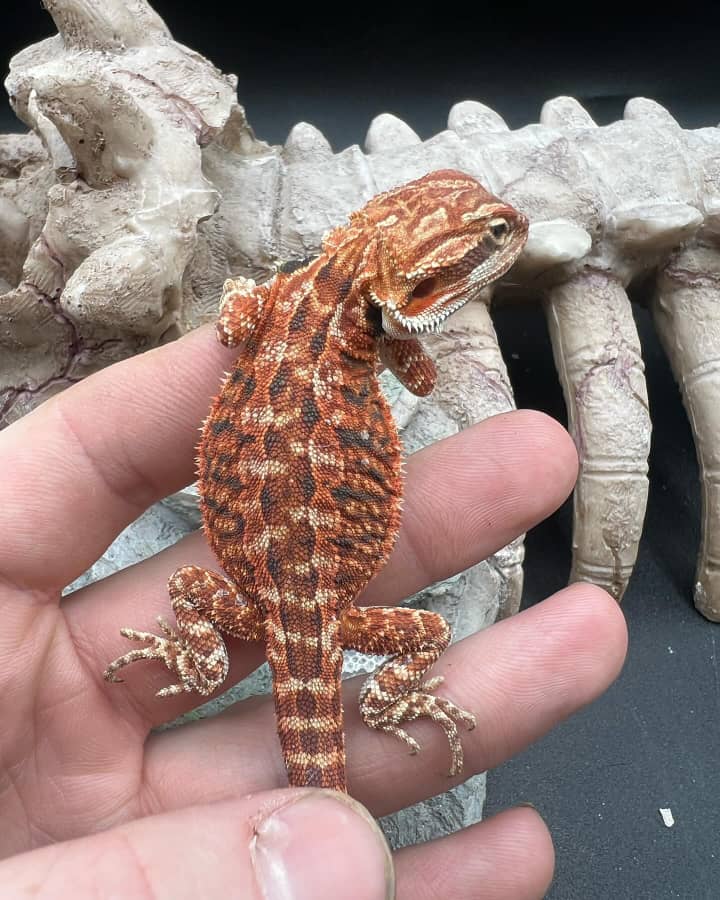 c5c69268-fe32-496a-8305-38c86d85e0de