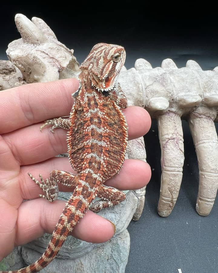 dd4ca58d-8be2-45b8-b111-743c77e32de2