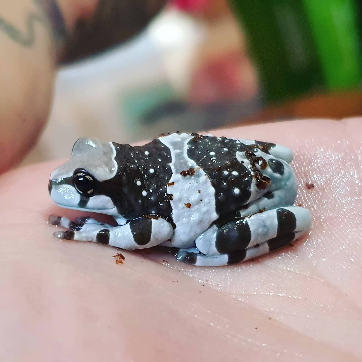 WhatsApp Image 2024-05-16 at 23.51.18_fff81150