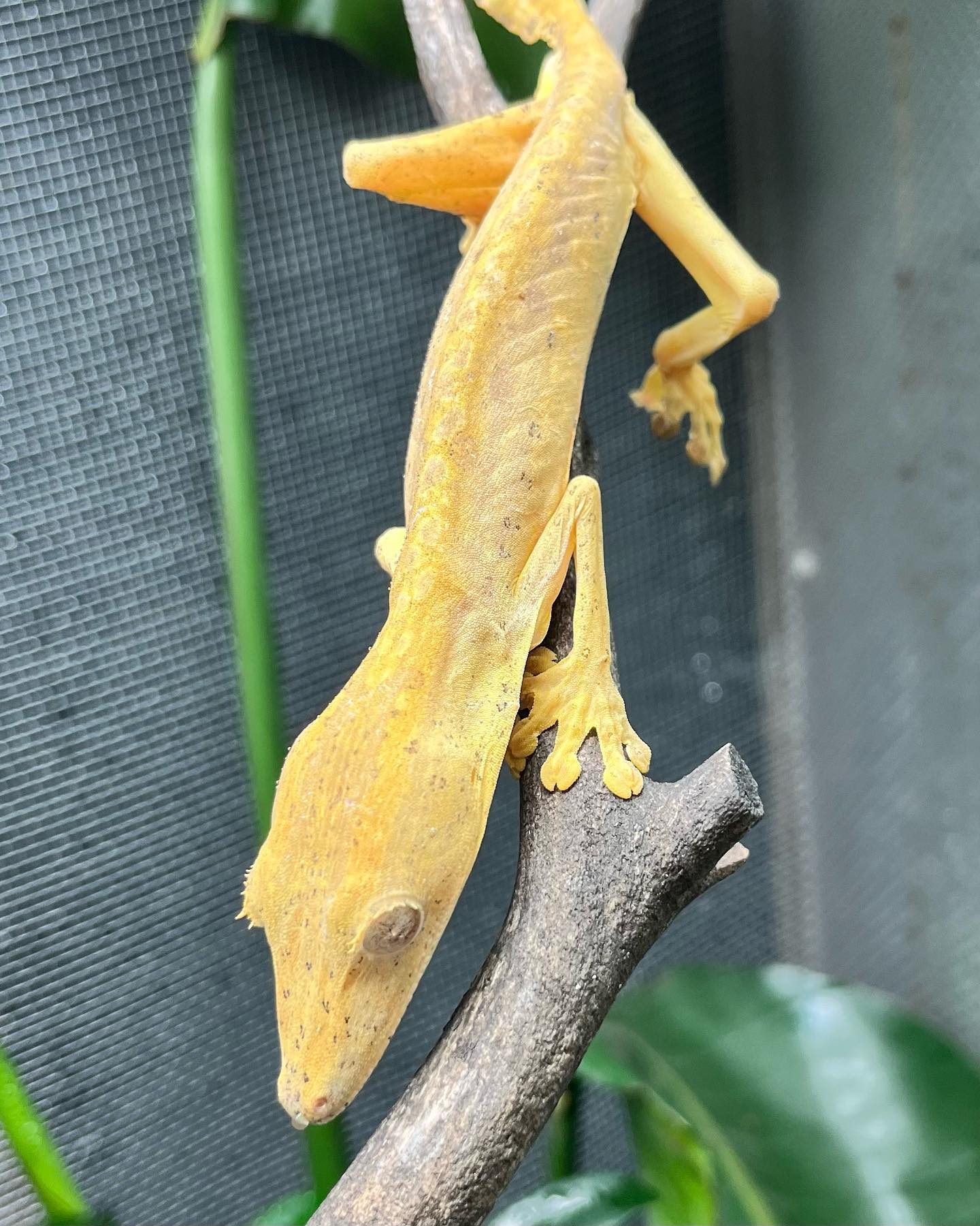 oneworldexotica_1716994382264