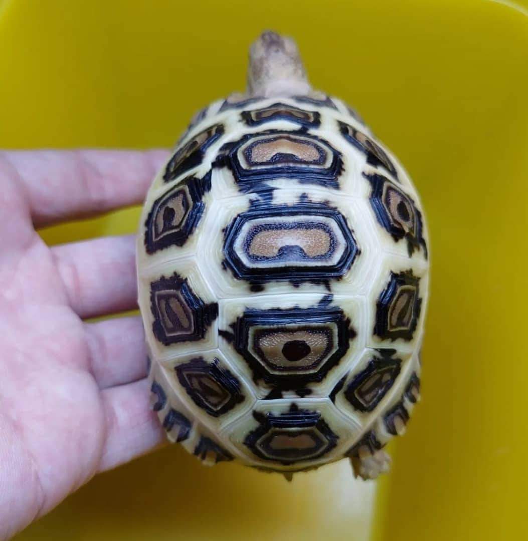 FB_IMG_1727349581502