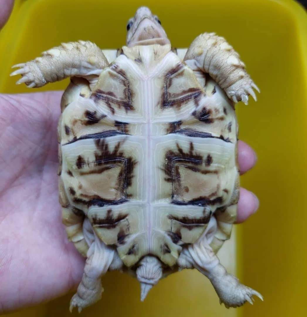 FB_IMG_1727349589713