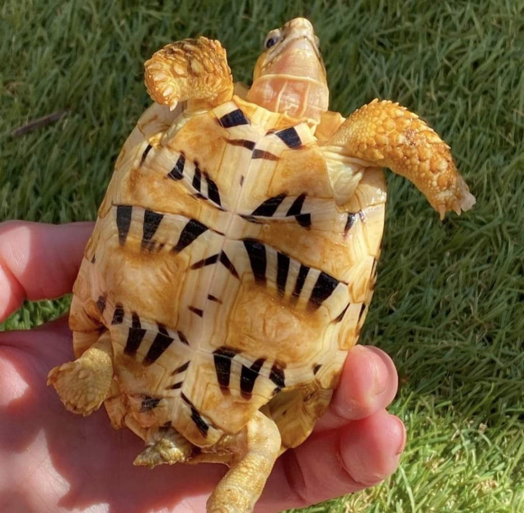 FB_IMG_1727349619287