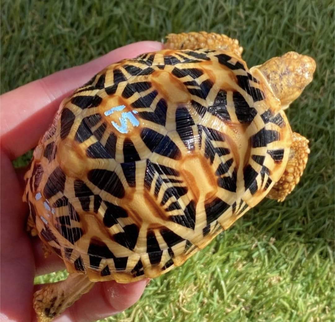 FB_IMG_1727349624229