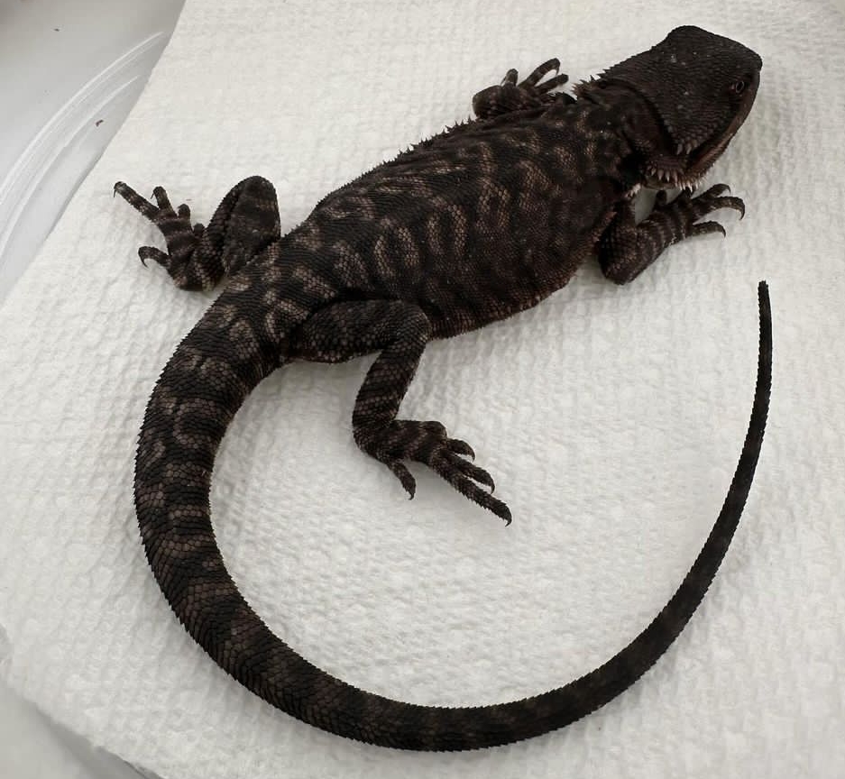 Screenshot_20241018-145023