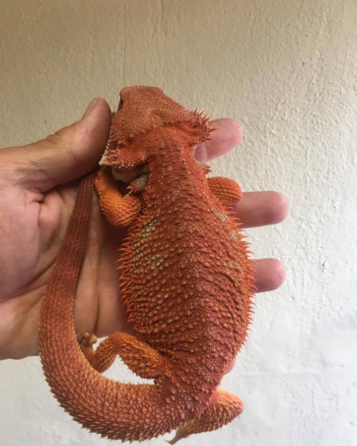 WhatsApp Image 2024-11-04 at 1.34.03 AM