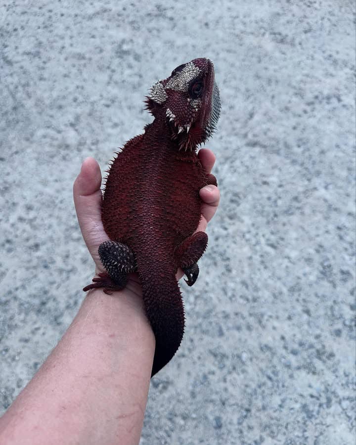 WhatsApp Image 2025-05-05 at 04.15.08_305cb3ee