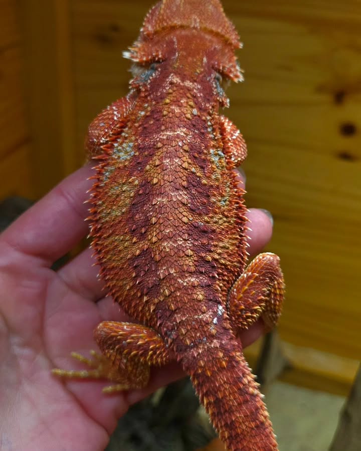 WhatsApp Image 2025-05-05 at 13.03.03_1f7d80b0