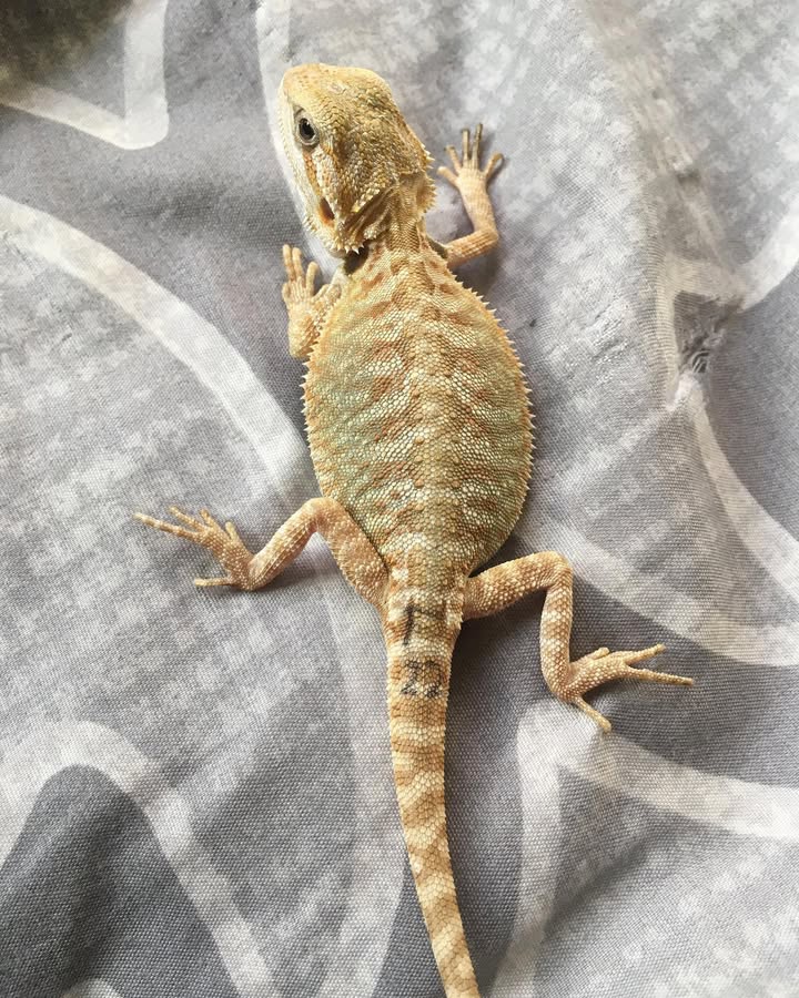 WhatsApp Image 2025-05-06 at 22.51.14_eb56106c