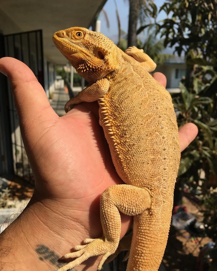 WhatsApp Image 2025-05-06 at 22.51.15_16e5b1fc