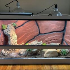 120 gallon tank 48"x 24"x 24" Reptile Enclosure