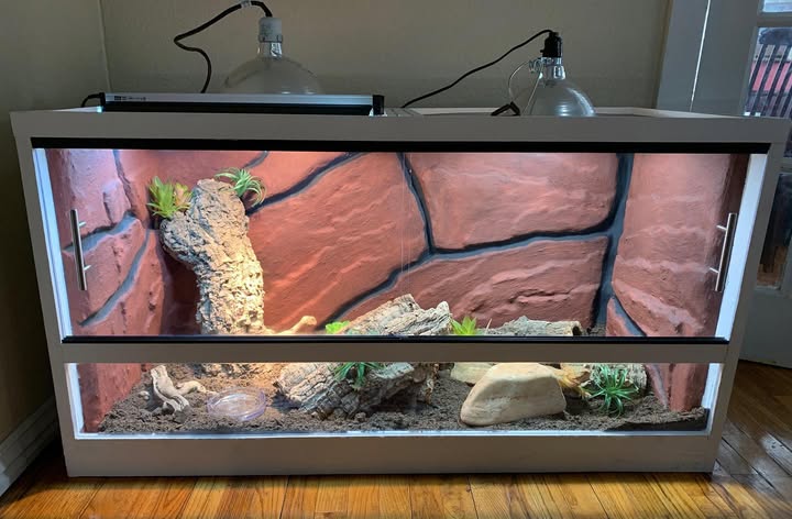 120 gallon tank 48x 24x 24 Reptile Enclosure