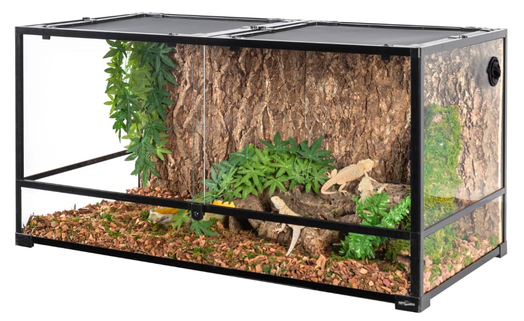 20 Gallon Reptile Enclosure