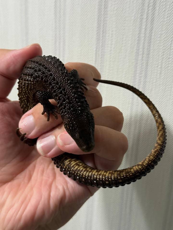 WhatsApp Image 2025-08-02 at 10.48.03 PM