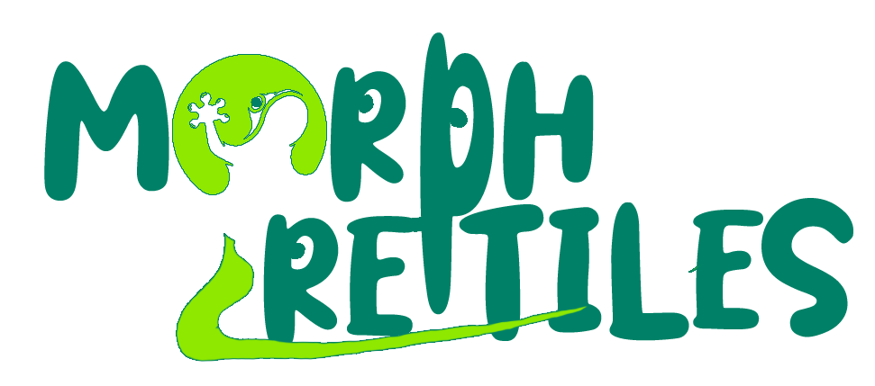 Morph Reptiles